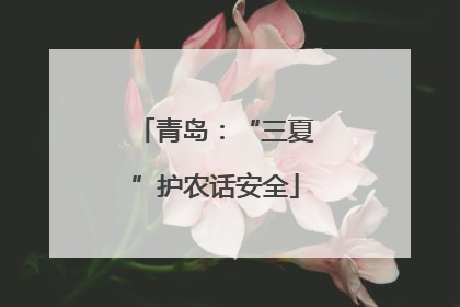 青岛：“三夏”护农话安全