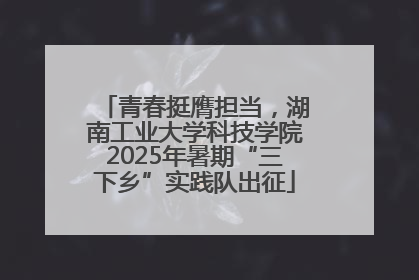 青春挺膺担当，湖南工业大学科技学院2025年暑期“三下乡”实践队出征