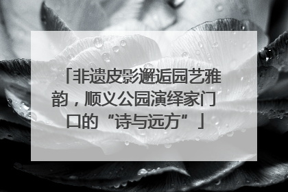 非遗皮影邂逅园艺雅韵，顺义公园演绎家门口的“诗与远方”