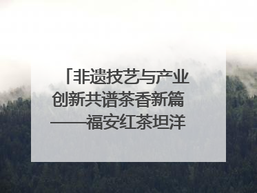 非遗技艺与产业创新共谱茶香新篇——福安红茶坦洋工夫专场推介会在京举办