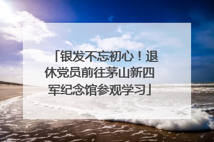 银发不忘初心！退休党员前往茅山新四军纪念馆参观学习