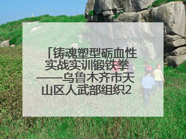 铸魂塑型砺血性 实战实训锻铁拳——乌鲁木齐市天山区人武部组织2025年度民兵集中轮训