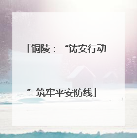 铜陵：“铸安行动”筑牢平安防线