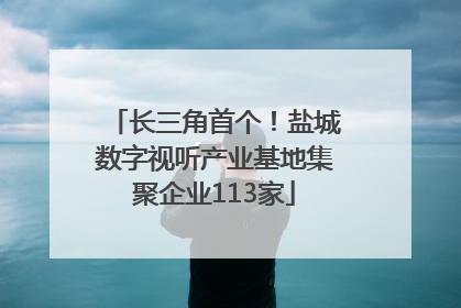 长三角首个！盐城数字视听产业基地集聚企业113家