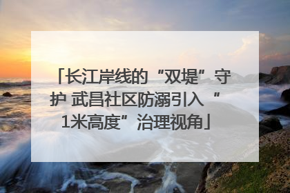 长江岸线的“双堤”守护 武昌社区防溺引入“1米高度”治理视角