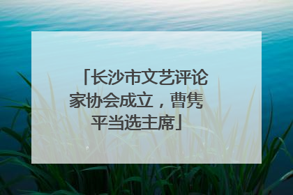 长沙市文艺评论家协会成立，曹隽平当选主席