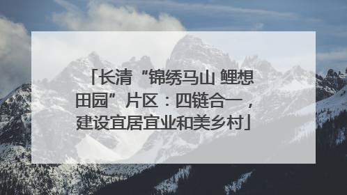 长清“锦绣马山 鲤想田园”片区：四链合一，建设宜居宜业和美乡村