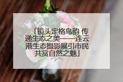 镜头定格鸟韵 传递生态之美——连云港生态摄影展引市民共赏自然之魅