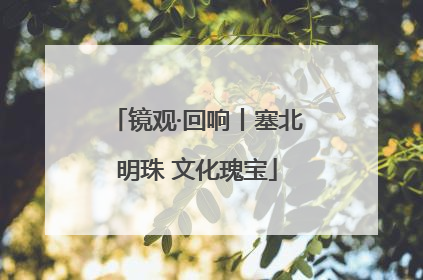镜观·回响丨塞北明珠 文化瑰宝