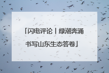闪电评论丨绿潮奔涌 书写山东生态答卷