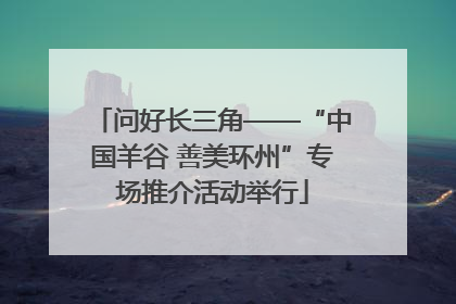 问好长三角——“中国羊谷 善美环州”专场推介活动举行