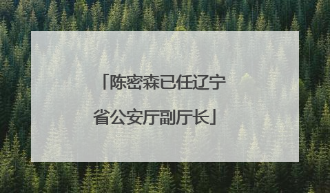 陈密森已任辽宁省公安厅副厅长