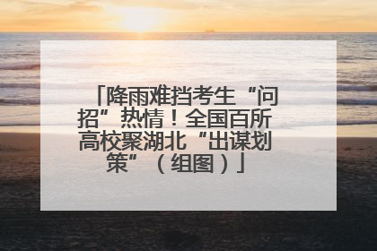 降雨难挡考生“问招”热情！全国百所高校聚湖北“出谋划策”（组图）