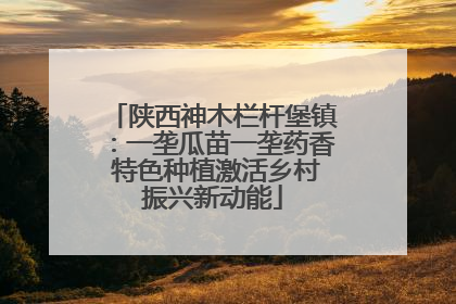 陕西神木栏杆堡镇：一垄瓜苗一垄药香 特色种植激活乡村振兴新动能