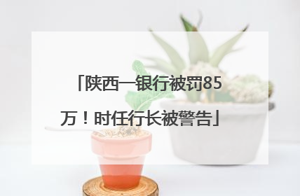 陕西一银行被罚85万！时任行长被警告
