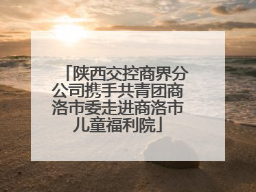 陕西交控商界分公司携手共青团商洛市委走进商洛市儿童福利院