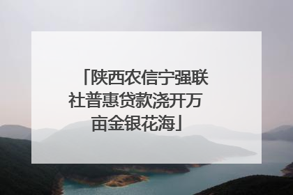 陕西农信宁强联社普惠贷款浇开万亩金银花海