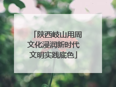 陕西岐山用周文化浸润新时代文明实践底色