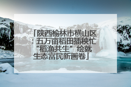 陕西榆林市横山区：五万亩稻田插秧忙 “稻渔共生”绘就生态富民新画卷