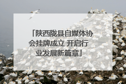 陕西陇县自媒体协会挂牌成立 开启行业发展新篇章