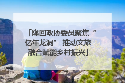 隆回政协委员聚焦“亿年龙洞” 推动文旅融合赋能乡村振兴