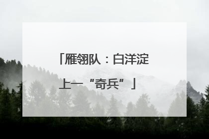 雁翎队：白洋淀上一“奇兵”