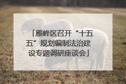 雁峰区召开“十五五”规划编制法治建设专题调研座谈会