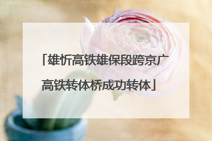 雄忻高铁雄保段跨京广高铁转体桥成功转体