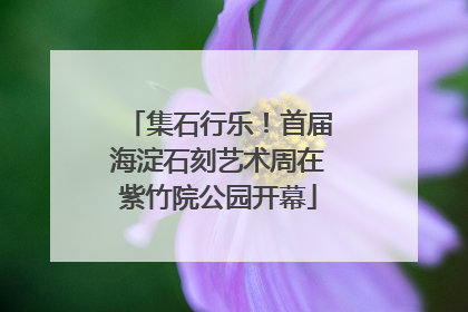 集石行乐！首届海淀石刻艺术周在紫竹院公园开幕