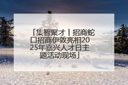 集智聚才丨招商蛇口招商伊敦亮相2025年嘉兴人才日主题活动现场
