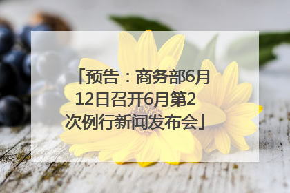 预告：商务部6月12日召开6月第2次例行新闻发布会