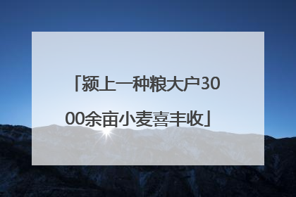 颍上一种粮大户3000余亩小麦喜丰收