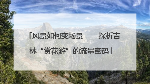 风景如何变场景——探析吉林“赏花游”的流量密码