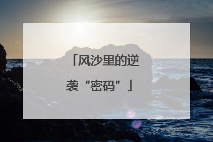 风沙里的逆袭“密码”