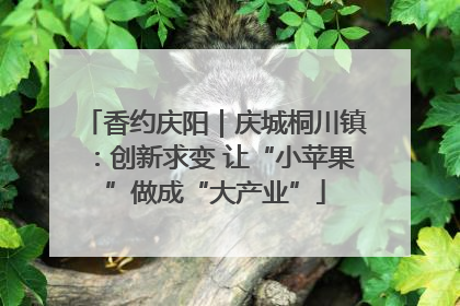 香约庆阳｜庆城桐川镇：创新求变 让“小苹果”做成“大产业”