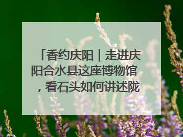 香约庆阳｜走进庆阳合水县这座博物馆，看石头如何讲述陇东千年历史