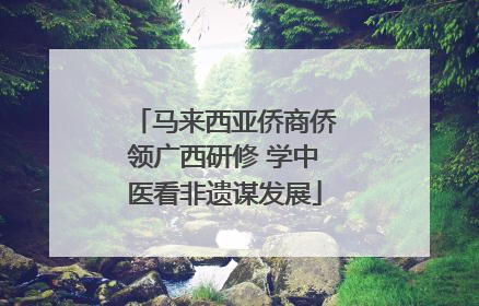 马来西亚侨商侨领广西研修 学中医看非遗谋发展