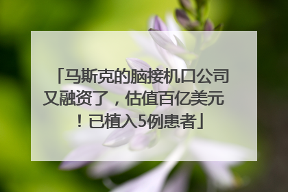 马斯克的脑接机口公司又融资了，估值百亿美元！已植入5例患者