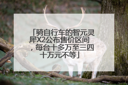 骑自行车的智元灵犀X2公布售价区间，每台十多万至三四十万元不等
