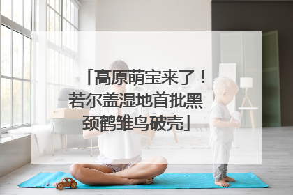 高原萌宝来了！若尔盖湿地首批黑颈鹤雏鸟破壳