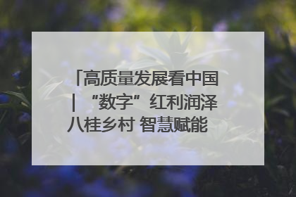 高质量发展看中国｜“数字”红利润泽八桂乡村 智慧赋能绘就振兴画卷