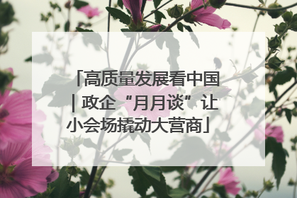 高质量发展看中国｜政企“月月谈”让小会场撬动大营商