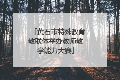 黄石市特殊教育教联体举办教师教学能力大赛