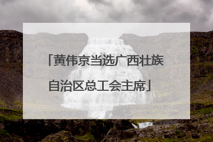 黄伟京当选广西壮族自治区总工会主席