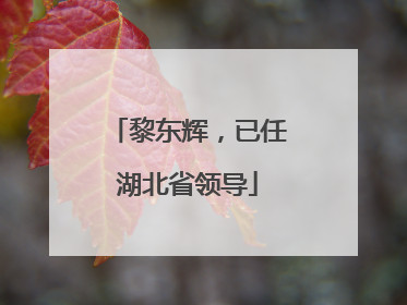 黎东辉，已任湖北省领导