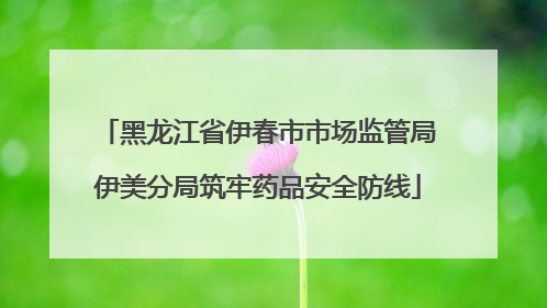 黑龙江省伊春市市场监管局伊美分局筑牢药品安全防线