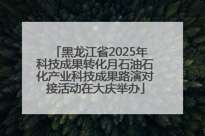 黑龙江省2025年科技成果转化月石油石化产业科技成果路演对接活动在大庆举办