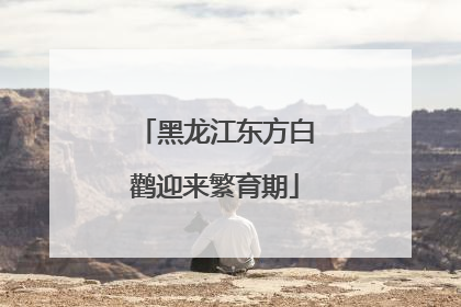 黑龙江东方白鹳迎来繁育期