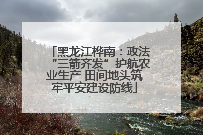 黑龙江桦南：政法“三箭齐发”护航农业生产 田间地头筑牢平安建设防线