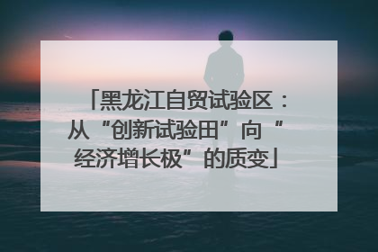黑龙江自贸试验区：从“创新试验田”向“经济增长极”的质变